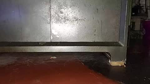 anis4551 online show from March 16, 2026, 8:24 pm