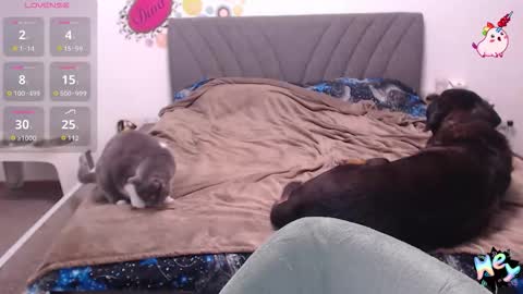 Anadirectgirl online show from January 8, 2026, 6:10 pm