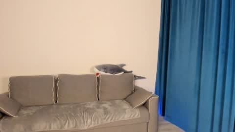 Snapshot of anna_miuu chatting on December 5, 2024, 5:37 am anna miuu online show from December 5, 2024, 5:37 am