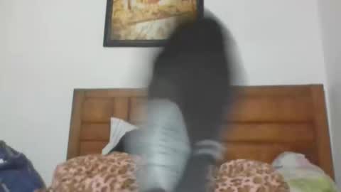 Annubis420 online show from October 9, 2025, 6:55 am