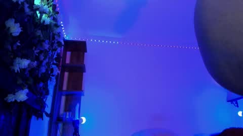 Anny online show from January 31, 2026, 7:11 pm