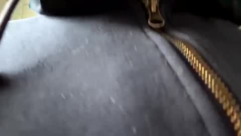 anonomousloser online show from January 6, 2025, 2:36 pm