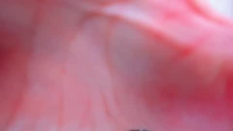 Snapshot of antheaprime chatting on February 2, 2026, 3:55 pm Anthea online show from February 2, 2026, 3:55 pm