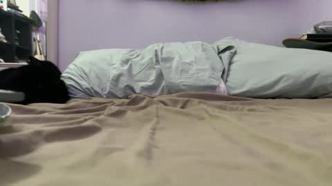 cowboy online show from December 4, 2025, 9:29 am