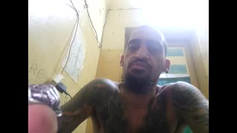 Snapshot of apapal12 chatting on March 12, 2026, 4:51 am apapal12 online show from March 12, 2026, 4:51 am