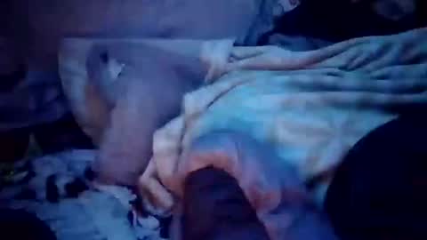 apocolypseanomaly online show from December 16, 2024, 12:49 pm