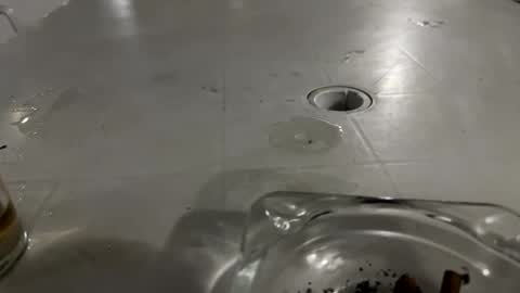 appelsapje4 online show from November 24, 2025, 12:43 am