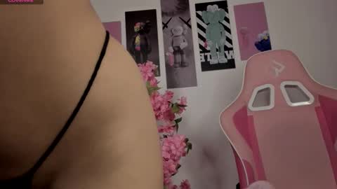 Snapshot of applebunny chatting on March 13, 2026, 10:49 pm online show from March 13, 2026, 10:49 pm