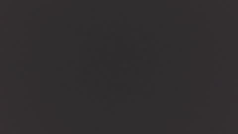 hairycub online show from December 4, 2024, 12:47 pm