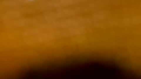 Snapshot of aranza_sexy chatting on July 16, 2026, 10:32 am Aranza online show from July 16, 2026, 10:32 am