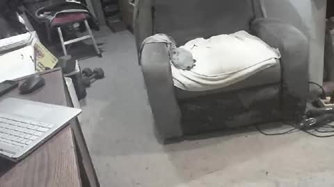 arealshowoff online show from March 22, 2026, 12:08 pm