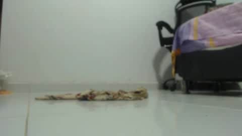 ...Ariana... online show from January 29, 2025, 6:18 pm