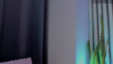 Ariana online show from July 16, 2026, 12:00 pm