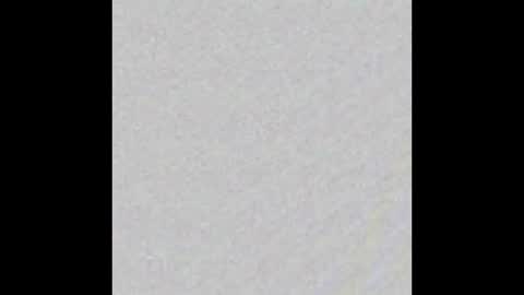 Arianna Collins online show from October 6, 2025, 11:51 am