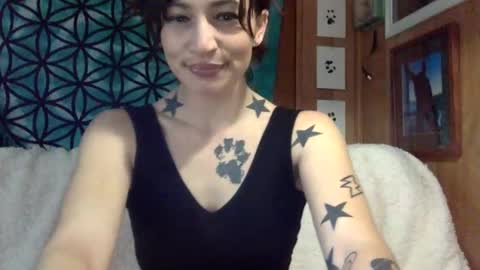 Snapshot of arielwyld chatting on February 23, 2025, 1:42 pm ariel  colin when hes here online show from February 23, 2025, 1:42 pm