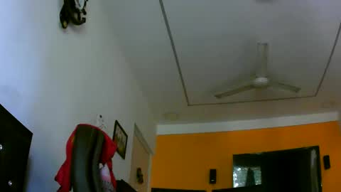 arnold_forfun online show from April 10, 2026, 10:53 am