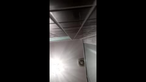 art2414 online show from April 6, 2026, 8:37 am