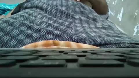 Snapshot of art_max99xxx chatting on January 11, 2025, 11:13 pm art_max99xxx online show from January 11, 2025, 11:13 pm