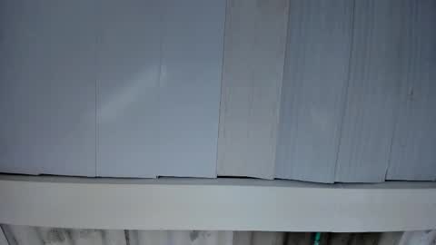 FENIX online show from November 25, 2025, 3:06 am