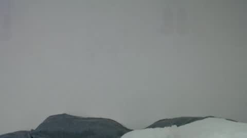 Anite         online show from December 6, 2024, 2:02 am