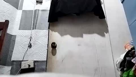 asiancreamy4u online show from January 5, 2025, 2:19 pm