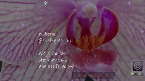 Atrena online show from January 15, 2026, 2:38 am