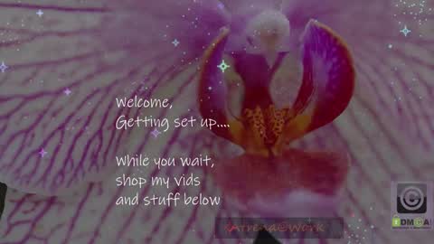 Snapshot of atrena chatting on March 3, 2026, 1:56 am Atrena online show from March 3, 2026, 1:56 am