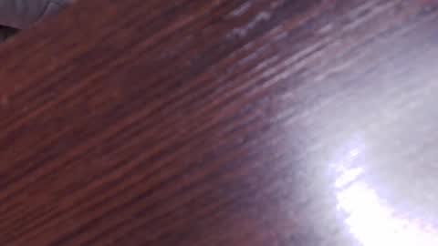 Snapshot of auroradiaz_ chatting on February 8, 2025, 7:04 am Aurora Diaz online show from February 8, 2025, 7:04 am