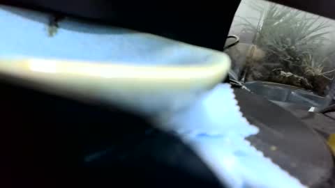 b1234567893 online show from April 26, 2026, 1:25 am