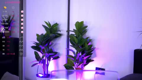 Inna online show from December 16, 2025, 4:28 am