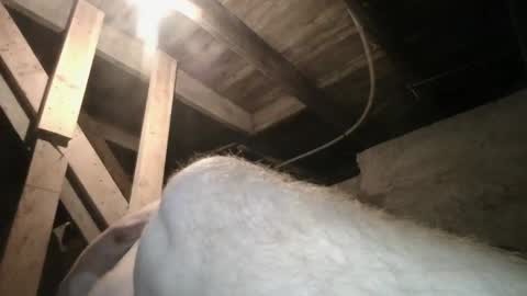 babyxxxangel online show from September 20, 2025, 9:43 am