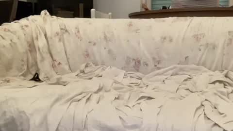 bach online show from February 12, 2025, 4:44 pm