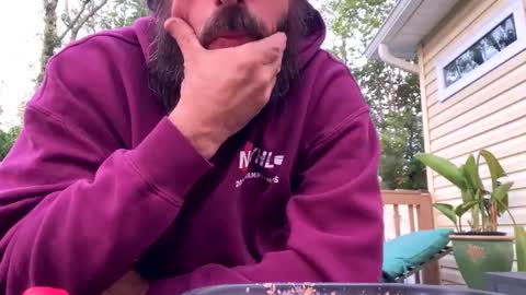 backcheck97 online show from September 13, 2025, 10:37 am