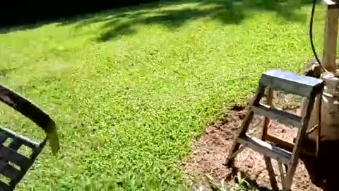 ballshanginglowaf online show from September 19, 2025, 7:36 pm