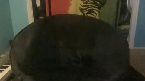 Snapshot of bananaboy420720 chatting on September 16, 2025, 6:14 am bananaboy420720 online show from September 16, 2025, 6:14 am