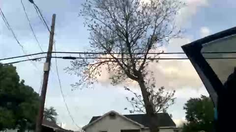 BeenLit online show from April 2, 2026, 12:08 am