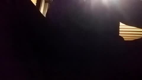 Snapshot of baobabtree8 chatting on December 24, 2024, 2:10 am baobabtree8 online show from December 24, 2024, 2:10 am