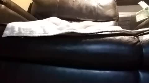 Snapshot of baobabtree8 chatting on October 10, 2025, 12:37 pm baobabtree8 online show from October 10, 2025, 12:37 pm