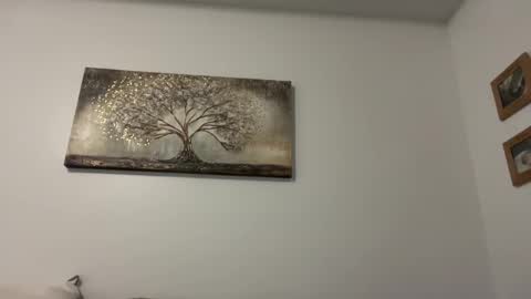 chicka online show from December 28, 2024, 12:26 am