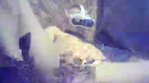 Snapshot of bartbartek chatting on May 16, 2026, 5:34 pm bartbartek online show from May 16, 2026, 5:34 pm