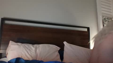 BjBambi online show from December 14, 2024, 11:29 am