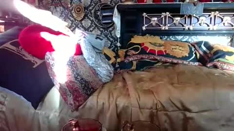 Snapshot of bazzasworld chatting on November 1, 2025, 7:32 am Bazza online show from November 1, 2025, 7:32 am