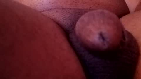 bcfalcon69 online show from February 13, 2026, 5:36 am