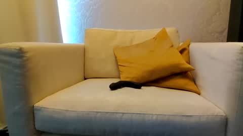 bd online show from February 9, 2026, 3:16 pm