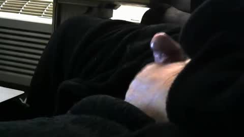 Snapshot of bear4146 chatting on March 29, 2026, 1:00 pm bear4146 online show from March 29, 2026, 1:00 pm