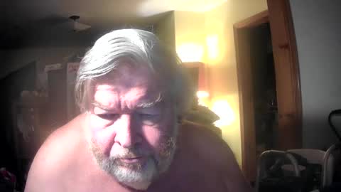 bear online show from June 15, 2026, 2:25 am