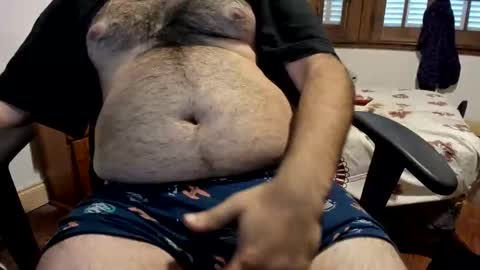 DOM bear online show from April 6, 2026, 12:39 pm