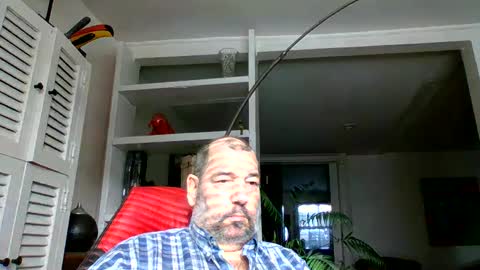 Snapshot of bearacuda555 chatting on December 7, 2024, 5:53 pm Bruno online show from December 7, 2024, 5:53 pm