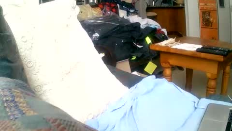 beardbushy online show from December 1, 2024, 7:14 pm