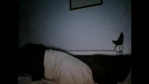 Snapshot of beatlebut chatting on October 1, 2025, 6:25 pm beatlebut online show from October 1, 2025, 6:25 pm